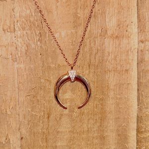 Rose Gold Crescent/Horn Necklace